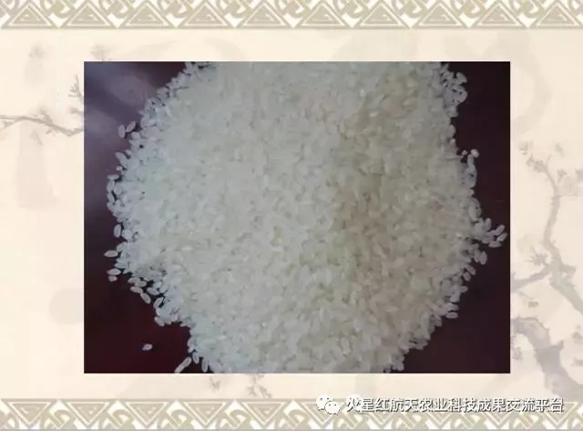 伯爵1號(hào)大米